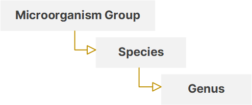 growth_taxonomy.png